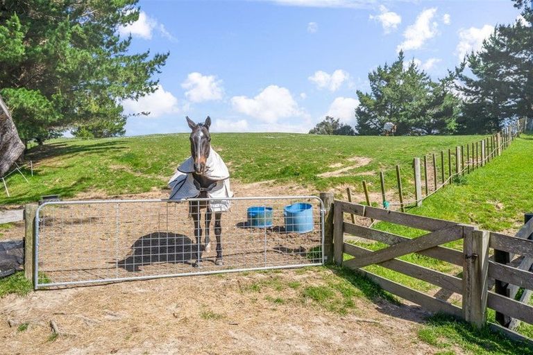 Photo of property in 218 Flightys Road, Judgeford, Porirua, 5381