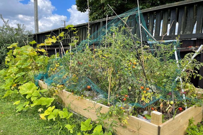 Photo of property in 8 May Road, Mangakakahi, Rotorua, 3015