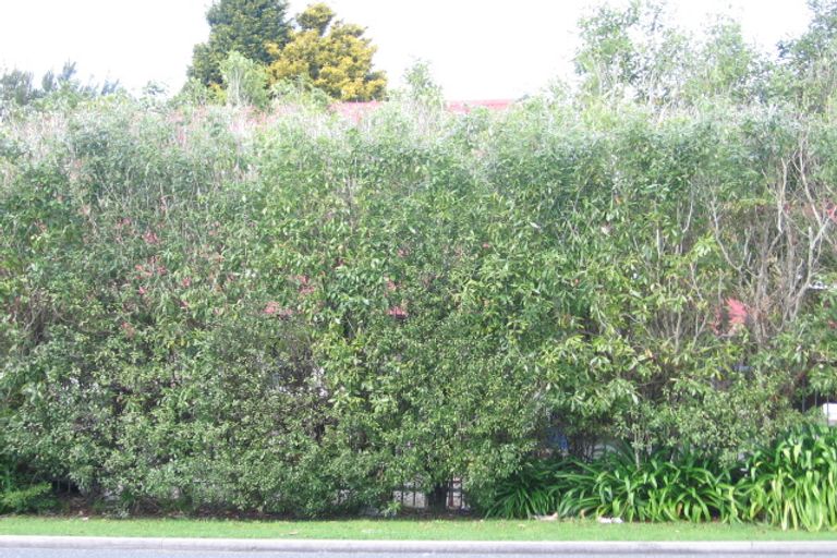 Photo of property in 72 Poike Road, Hairini, Tauranga, 3112