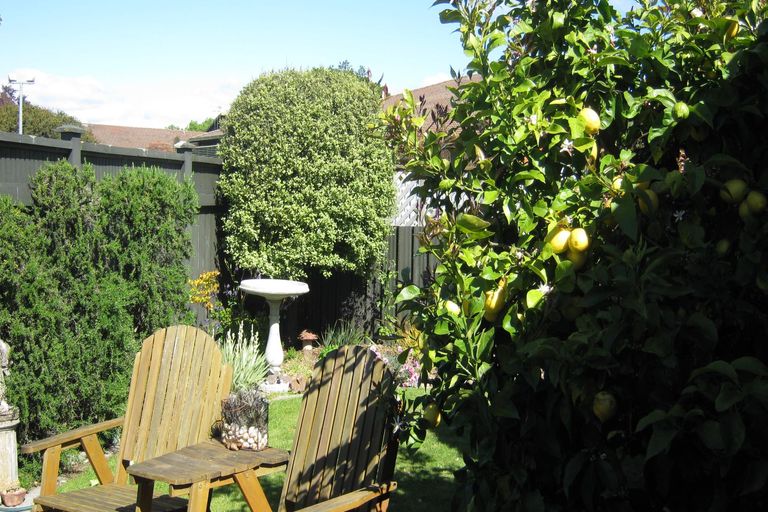 Photo of property in 10a Elizabeth Street, Palmerston North, 4410