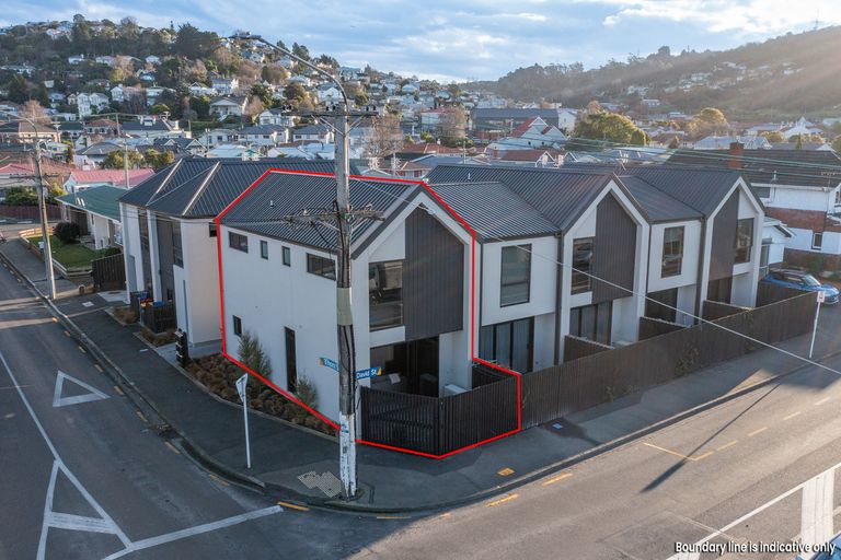 Photo of property in 30 Thorn Street, Caversham, Dunedin, 9012