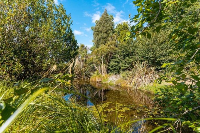 Photo of property in 175 Papawai Road, Papawai, Greytown, 5794