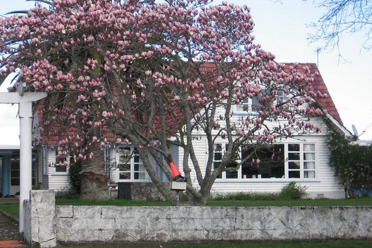 Photo of property in 155 Queen Street West, Levin, 5510