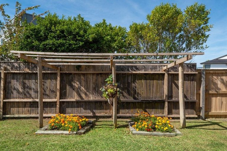 Photo of property in 13 Windsor Place, Windsor Park, Auckland, 0630