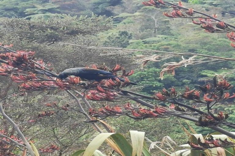 Photo of property in 22 Tombleson Road, Lake Rotoma, Rotorua, 3074