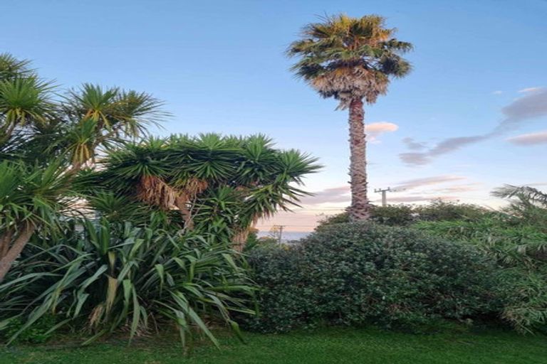 Photo of property in 38 Hauraki Road, Leigh, Warkworth, 0985