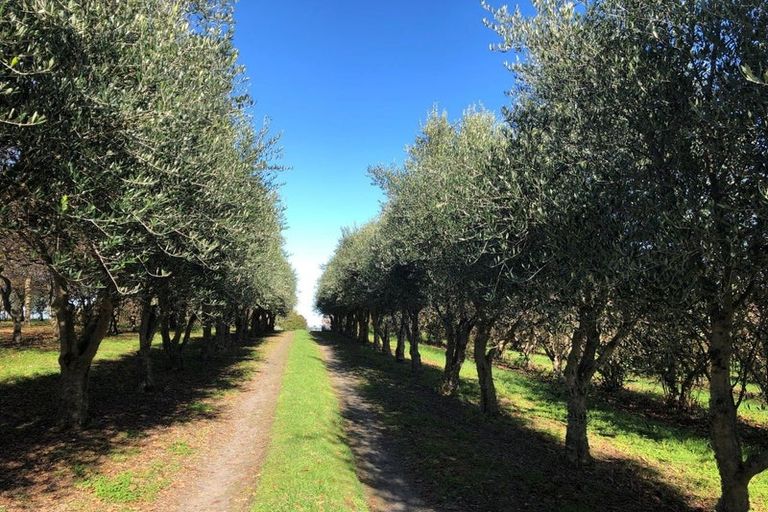 Photo of property in 466 Jeffersons Line, Marton, 4788