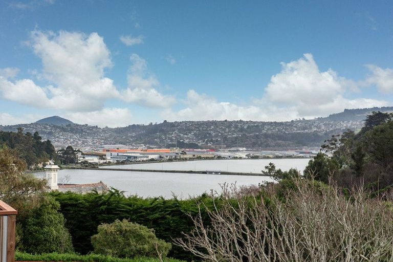 Photo of property in 14 Heath Street, Andersons Bay, Dunedin, 9013