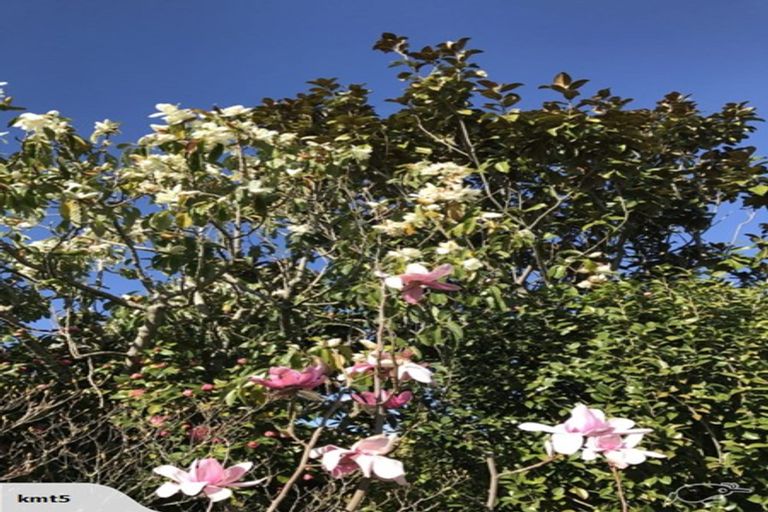 Photo of property in 10 Boltons Road, Lansdowne, Masterton, 5810