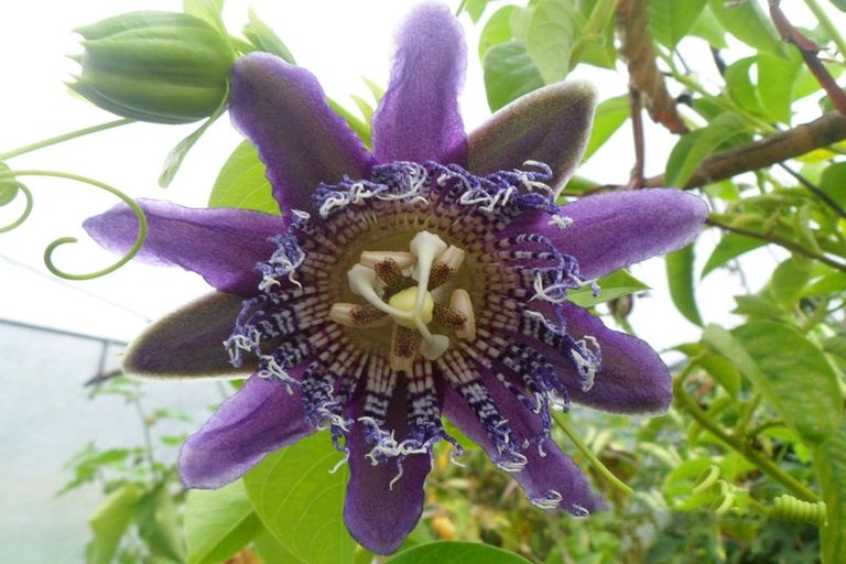 Photo of property in 46 Ruapapa Road, Frasertown, Wairoa, 4195