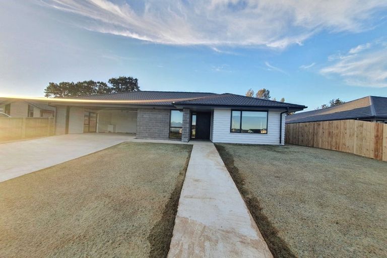 Photo of property in 57 Murray Ward Drive, Te Kauwhata, 3710