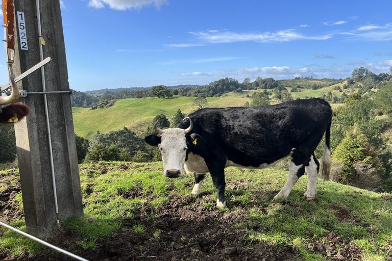 Photo of property in 617a Stanley Road, Wainui, Opotiki, 3198