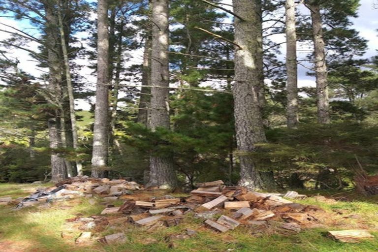 Photo of property in 375 Hot Springs Road, Tahawai, Katikati, 3178