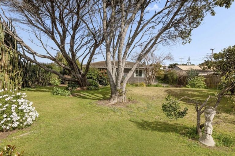 Photo of property in 13a Links Avenue, Mount Maunganui, 3116