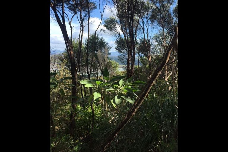 Photo of property in 183 Pukewhao Road, Horeke, Okaihau, 0475