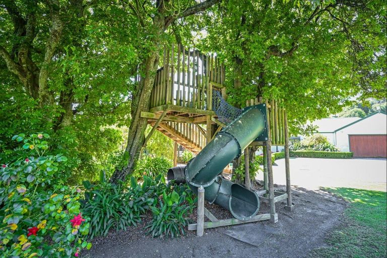 Photo of property in 445 Anaroa Road, Raukawa, Hastings, 4174
