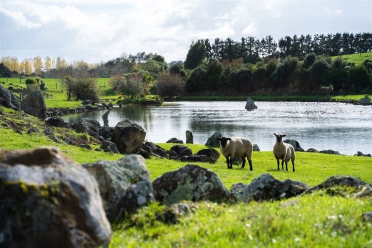 Photo of property in 208 Tatton Road, Maungatapere, Whangarei, 0179