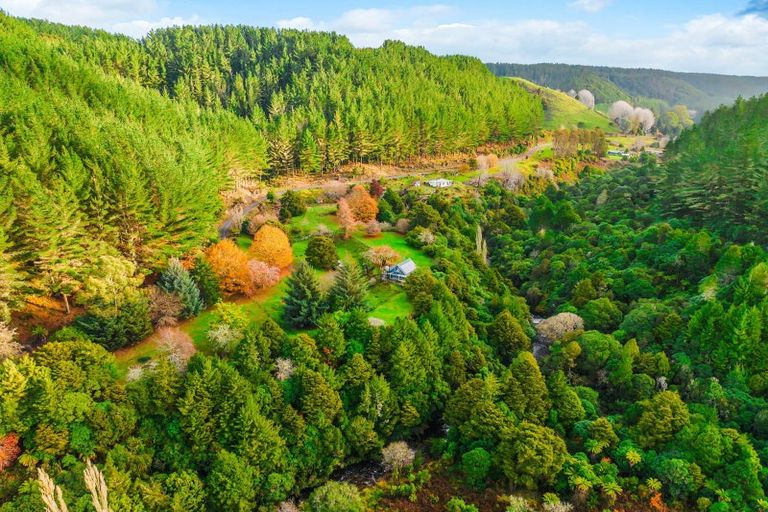 Photo of property in 2005 Ongarue Stream Road, Waimiha, 3998