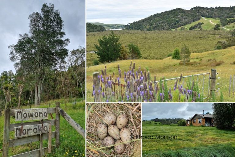 Photo of property in State Highway 12, Paparoa, Maungaturoto, 0583