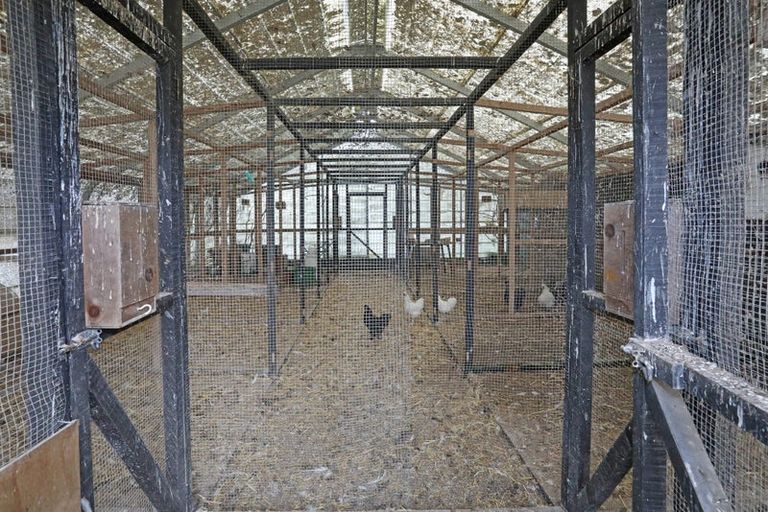 Photo of property in 76 Wings Line, Marton, 4787