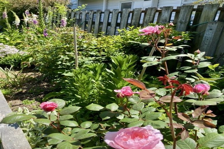 Photo of property in 8 Cooper Street, Lansdowne, Masterton, 5810