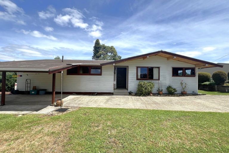 Photo of property in 21 Rimu Street, Te Kuiti, 3910