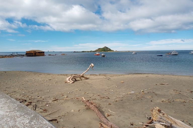 Photo of property in 236 The Esplanade, Island Bay, Wellington, 6023