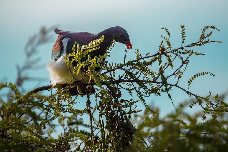 Photo of property in 3/6 Whaui Street, Vogeltown, Wellington, 6021