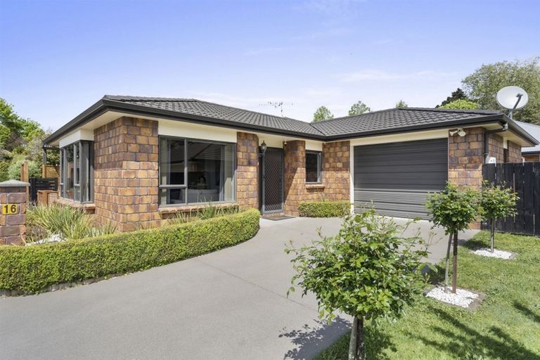 Photo of property in 16/2 Grace Avenue, Leamington, Cambridge, 3432