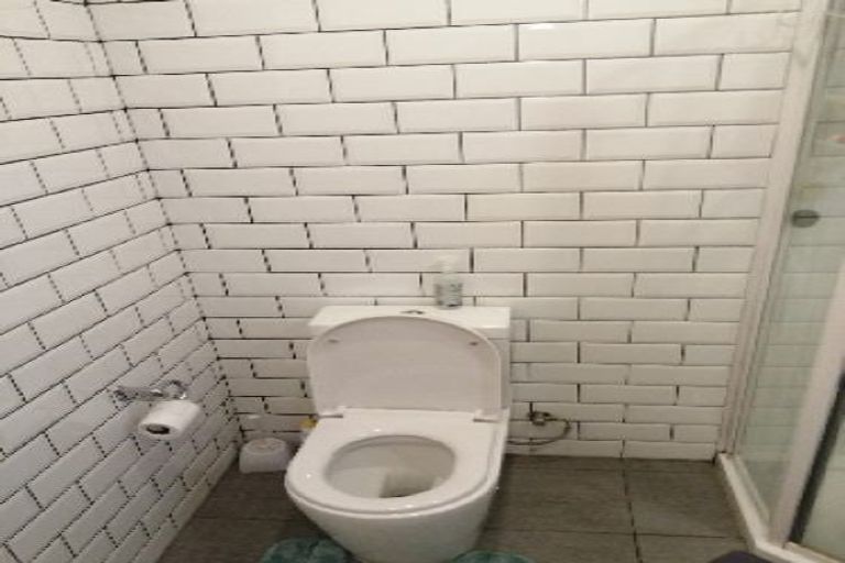 Photo of property in 133 Britomart Street, Berhampore, Wellington, 6023