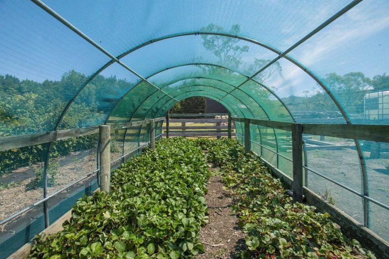 Photo of property in 909a Wharekopae Road, Ngatapa, Gisborne, 4072