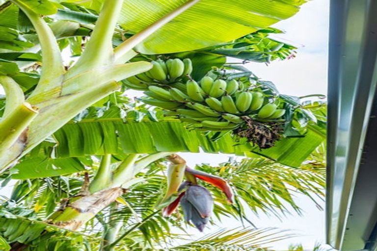 Photo of property in 3 Cessna Lane, Glen Avon, New Plymouth, 4312