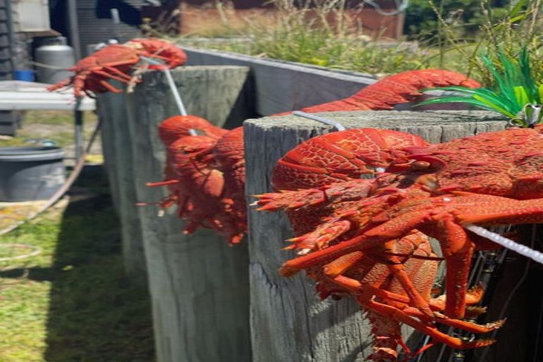 Photo of property in 149 Te Awaiti Road, Tora, Martinborough, 5782