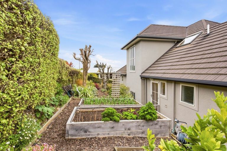 Photo of property in 26 Evans Street, Opoho, Dunedin, 9010