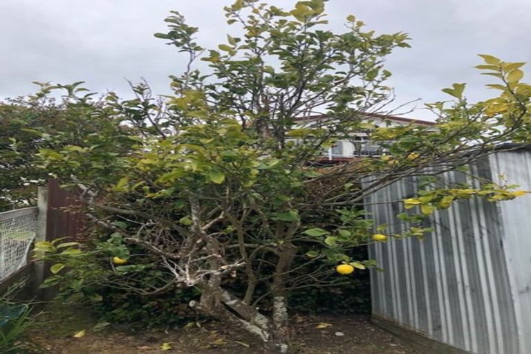 Photo of property in 1 Motuketekete Avenue, Army Bay, Whangaparaoa, 0930