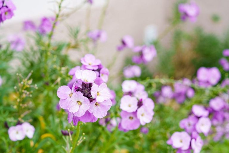 Photo of property in 108 Ravenswood Road, Saint Clair, Dunedin, 9012