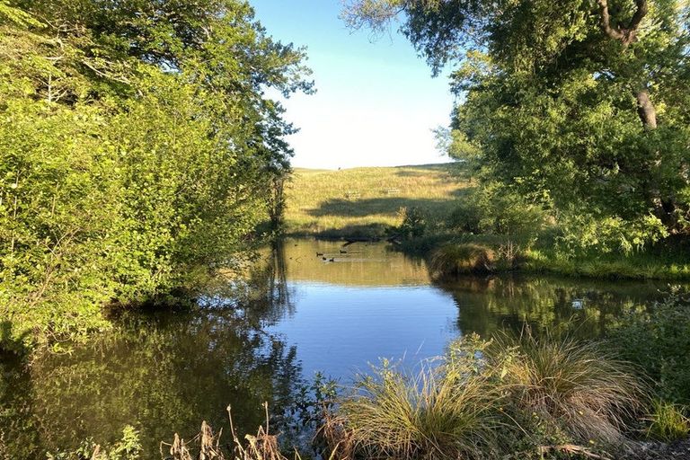 Photo of property in 490 Bluff Rangitumau Road, Rangitumau, Masterton, 5871