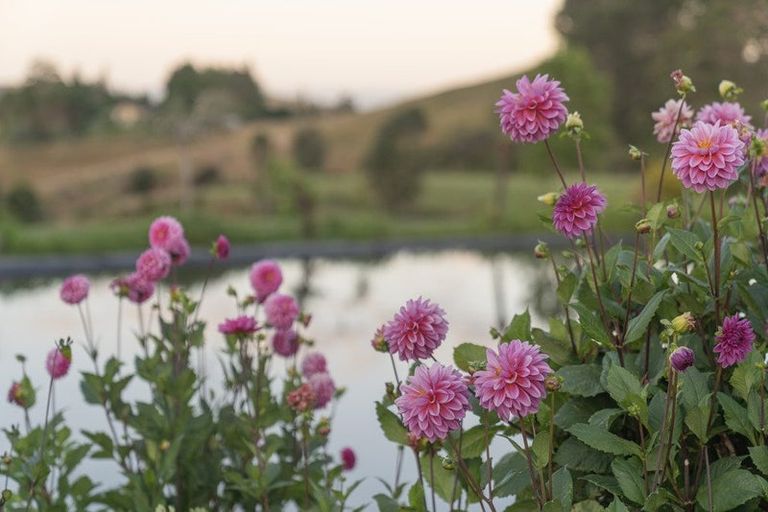 Photo of property in 50b Paul Road, Whenuakite, Whitianga, 3591