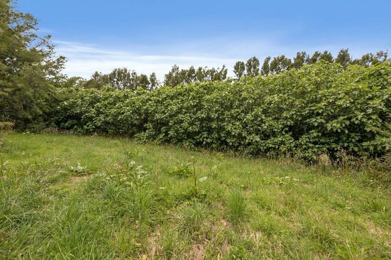 Photo of property in 379 Tara Road, Mangawhai, Kaiwaka, 0573