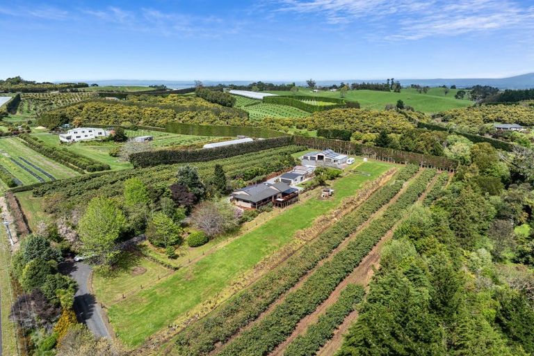 Photo of property in 124 Kauri Point Road, Tahawai, Katikati, 3170