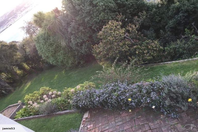 Photo of property in 52 Shandon Road, Vauxhall, Dunedin, 9013