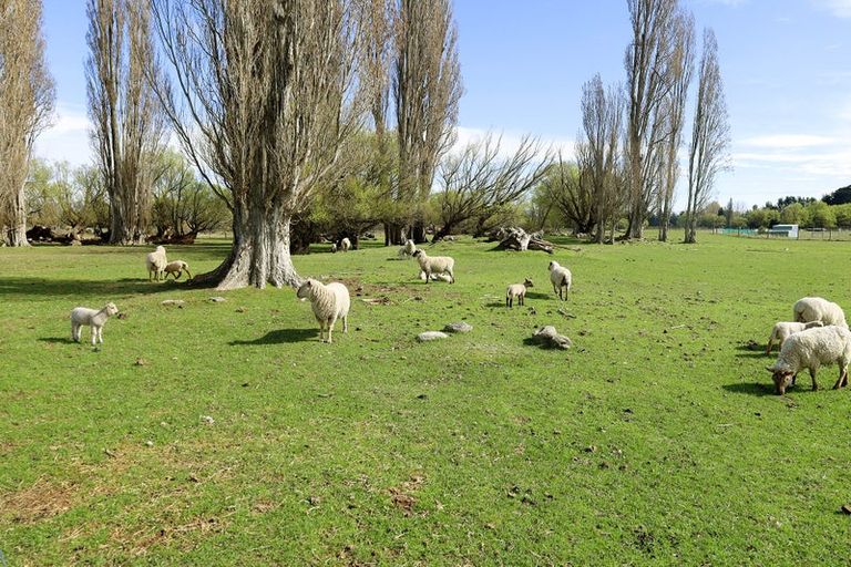 Photo of property in 7 Hall Road, Patearoa, Ranfurly, 9398