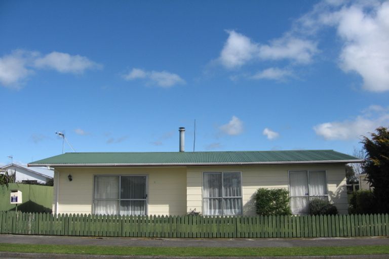 Photo of property in 8 Braemar Street, Levin, 5510