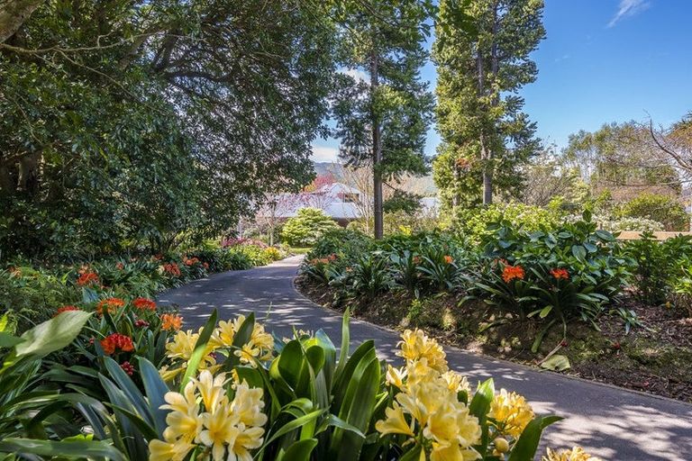 Photo of property in 12 Millvale Street, Waikanae, 5036