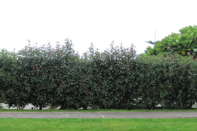 Photo of property in 65 Hahei Beach Road, Hahei, Whitianga, 3591