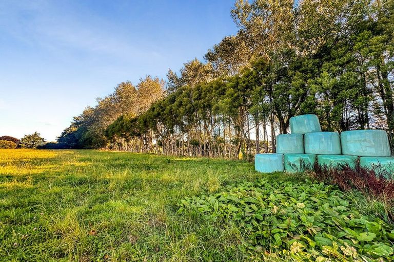 Photo of property in 31 Park Lane, Kaponga, Hawera, 4679