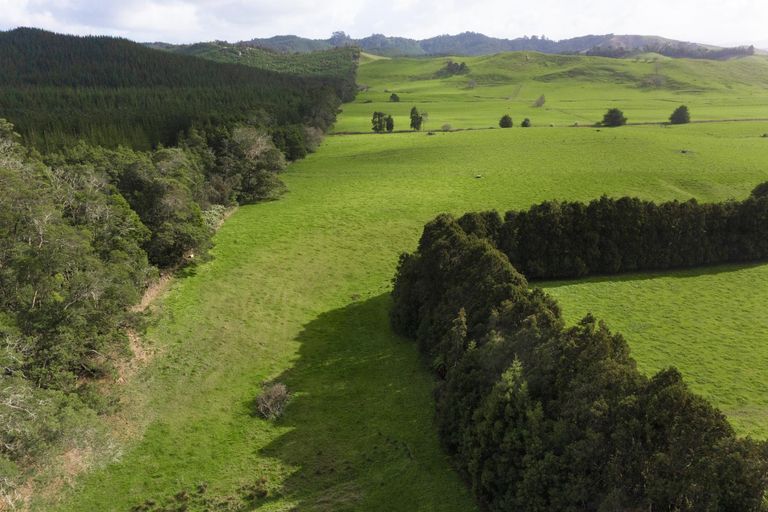 Photo of property in 160 Mcwatt Road, Waitakaruru, Ngatea, 2471