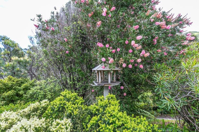 Photo of property in 52 Woods Road South, Colville, Coromandel, 3584