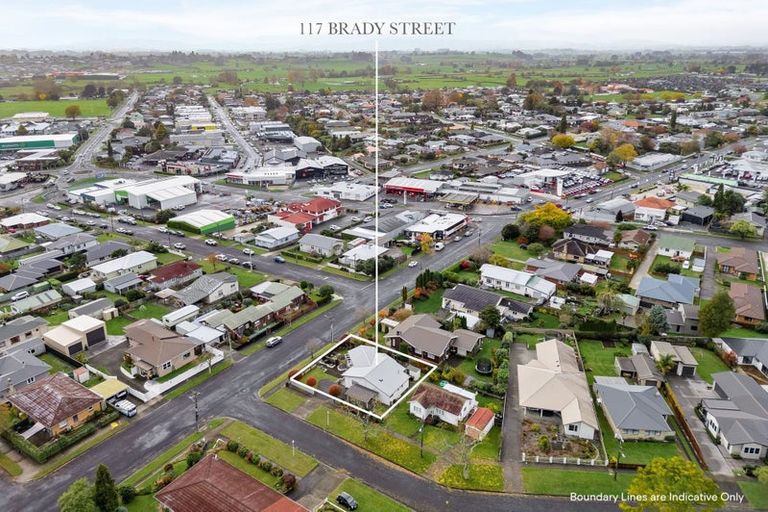 Photo of property in 117 Brady Street, Te Awamutu, 3800