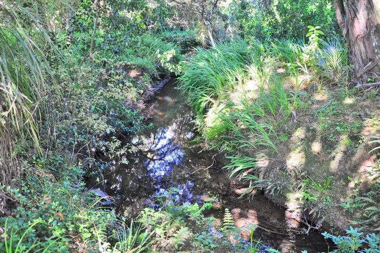 Photo of property in 472 Old Kaipara Road, Kaipara Flats, Warkworth, 0981